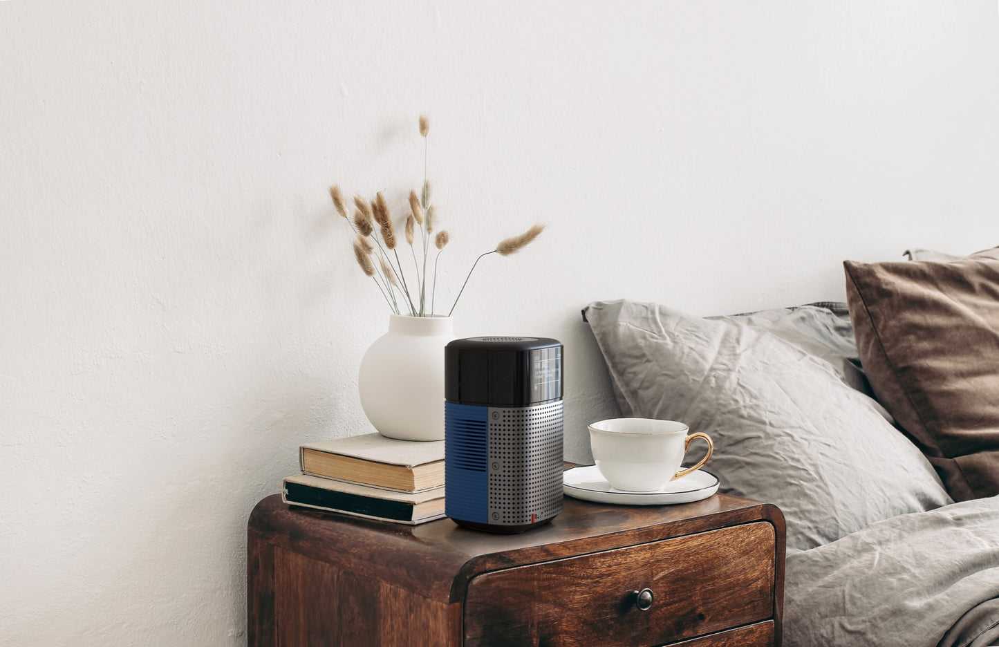 Pinell - North - portable radio - Arctic Blue