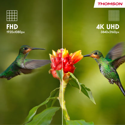 Thomson Smart Google 4K LED TV - 50UG4S14
